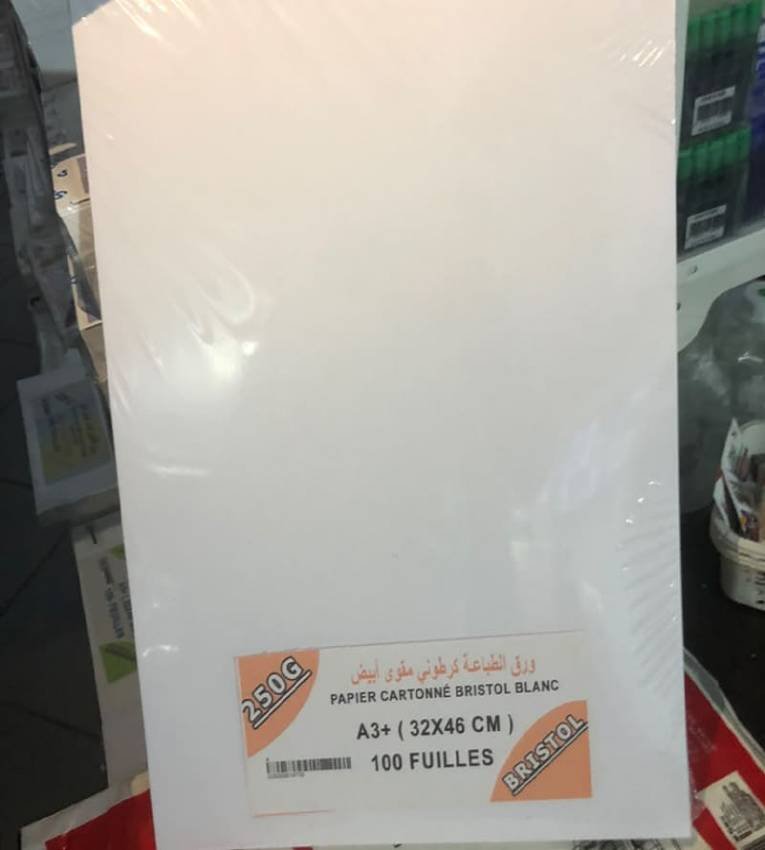 Papier Cartonné Bristol Blanc A3+ – 250G – 100 Feuilles